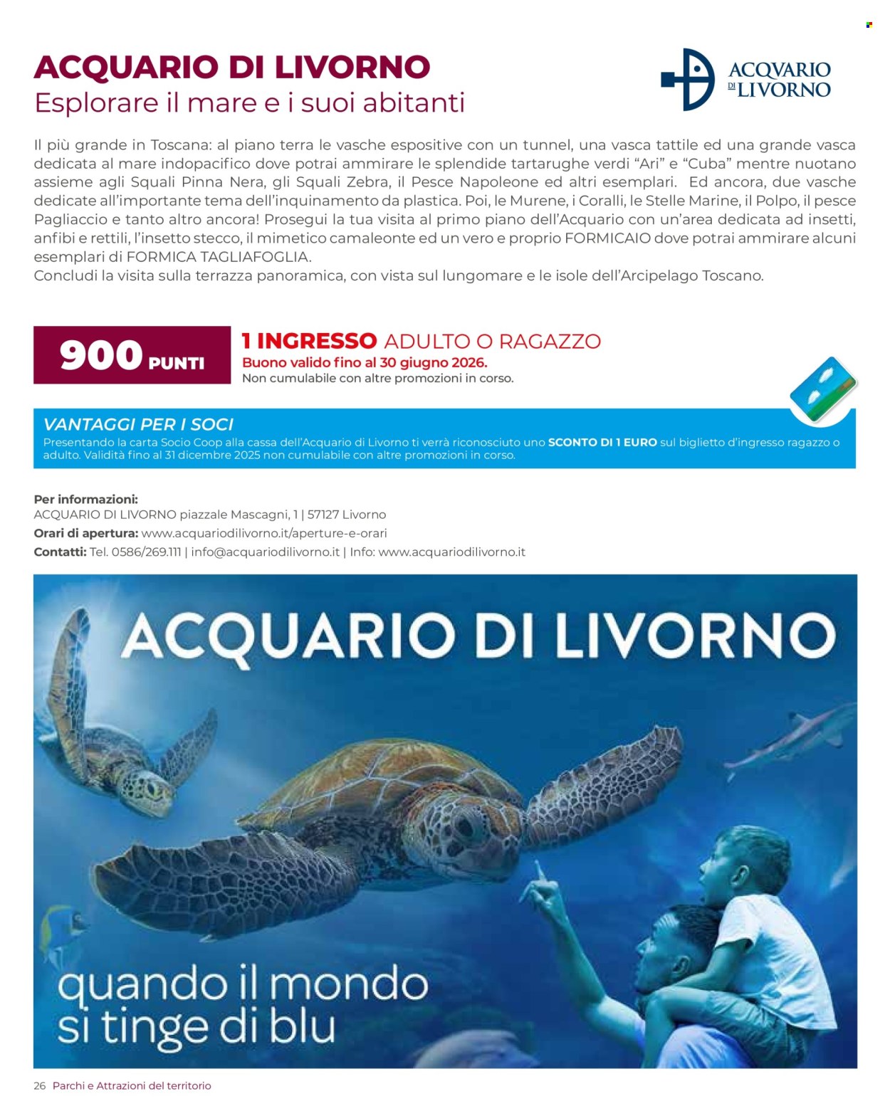 Volantino Coop - 15/12/2025 - 31/3/2026. Pagina 26