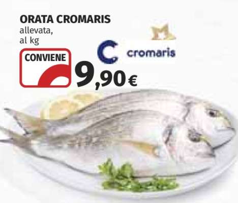 Orata Cromaris