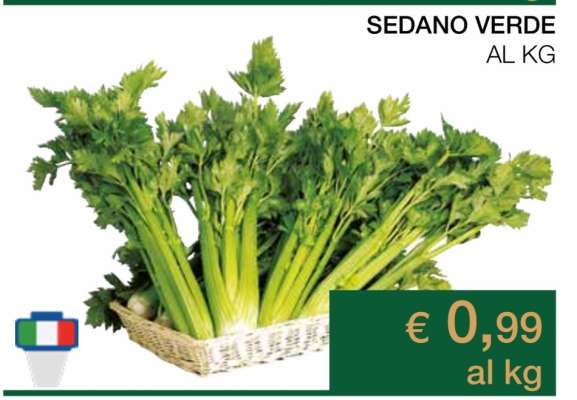 Sedano Verde